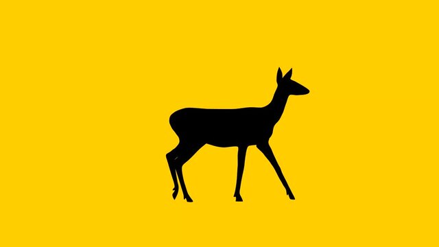 Silhouette of the roe deer, animation on the yellow background
