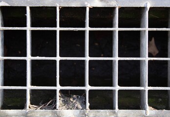 evocative image of texture of intertwined mesh iron grate
