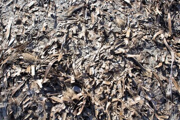 evocative image of beach pebbles texture

