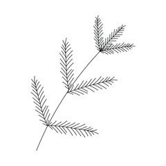 Vector hand drawn plant - leaves Black and white. Template design for sail, wedding save date, envelope, valentine, for party, holiday decor.