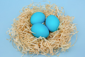 Naklejka na ściany i meble Easter eggs in blue colors in a nest. The concept of stylish decoration for Easter