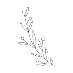 Vector hand drawn plant - leaves Black and white. Template design for sail, wedding save date, envelope, valentine, for party, holiday decor.