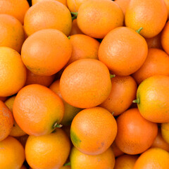 kumquat on white background