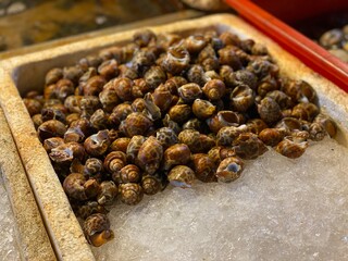 Various seafood in the supermarket in Asia, there are colorful baskets for retails sell crabs, clams, lobsters and fish, etc All things are fresh which is a very cultural experience in a fish village.