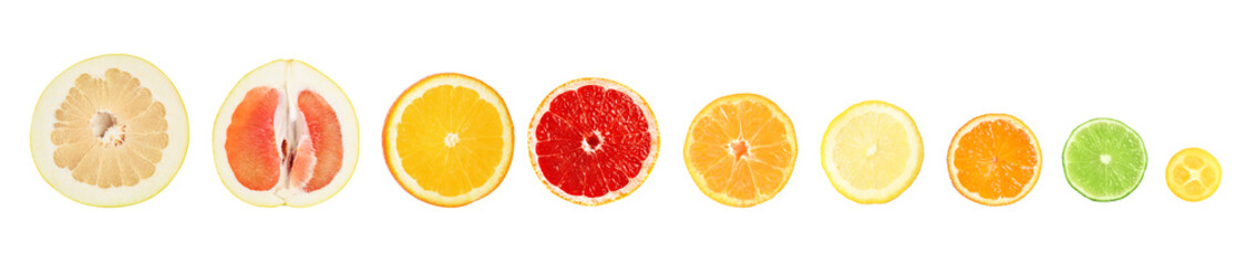 Set of different delicious citrus fruits on white background, banner design