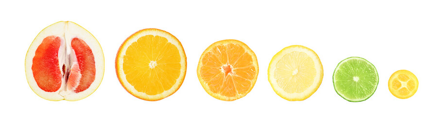 Set of different delicious citrus fruits on white background, banner design