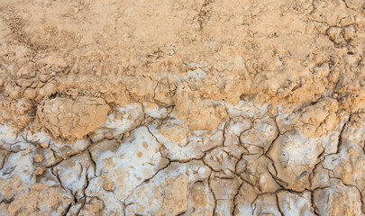 Salty soil