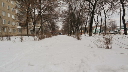 winter in the park