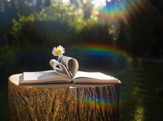 Open book with heart-shaped pages and chamomile flower on it. the concept of wisdom, freedom, harmony. Love for nature and literature. art photography. Rainbow sun glare