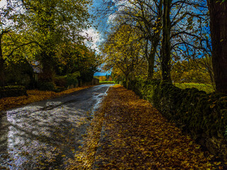 autumn in the Peak District park