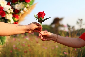 bouquet of flowers in hands