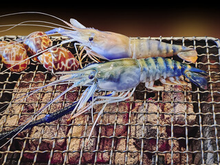 Fresh Prawns on Charcoal Grilling Stove for Barbecue Meal Isolated on Black