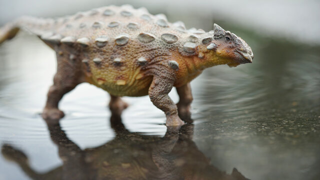 アンキロサウルス の画像 2 749 件の Stock 写真 ベクターおよびビデオ Adobe Stock