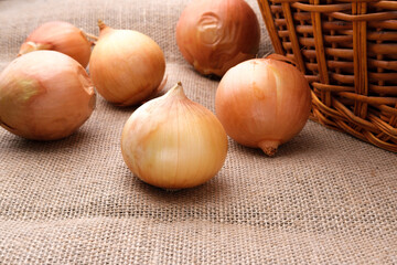There are onion bulbs next to the basket. The table is covered with burlap textured fabric. Organic food.