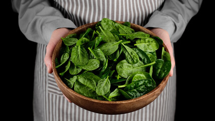 fresh spinach. female hold fresh spinach leaves in wooden bowl. Healthy food concept
