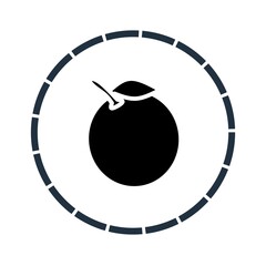 Coconut fruit glyph icon style. Fruit solid icon. Coconut fruit vector illustration isolated on the incomplete circle line