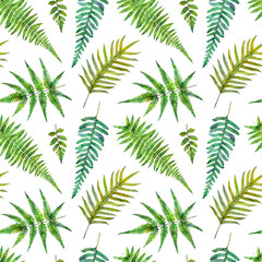 Watercolor seamless pattern witn green leaves fern. Hand drawn floral illustration on white background.