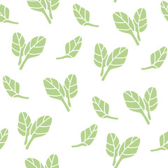 Seamless background. Lettuce isolated on a white background. Spinach, kale, watercress. Seasonal vegetables. 