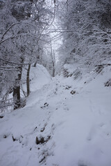 Winterwanderung auf den Friedenrath