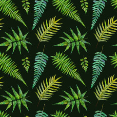 Watercolor seamless pattern witn green leaves fern. Hand drawn floral illustration on black background.
