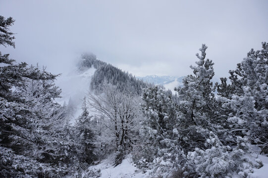Winterwanderung auf den Friedenrath