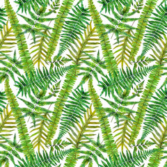 Watercolor seamless pattern witn green leaves fern. Hand drawn floral illustration on white background.