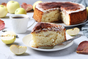 Homemade charlotte with apples and cup of coffee on a light background. Piece of charlotte in the foreground. Close-up