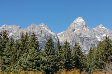 Scenic Landscape in Grand Teton National Park Wyoming in Autumn