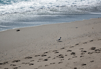 Mare Jonio scaldato da uno splendido sole in una giornata d'inverno