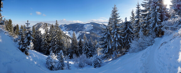 Im Winter aufs Feichteck