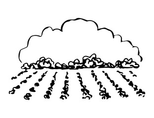 Hand-drawn vector ink sketch. Farm fields, cloud. Cultivation of agricultural plants. Place for the title in the center. Rustic, rural landscape. For the design of labels, logo, wine, drinks.