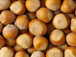 hazelnuts background