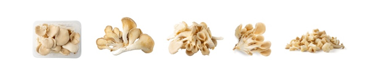 Fototapeta na wymiar Raw Fresh Oyster Mushrooms, Pleurotus or Abalone Mushrooms
