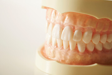 Image of dentures on white background
