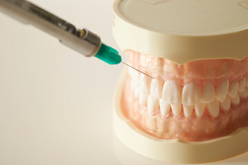 Denture prosthesis and syringe on white background