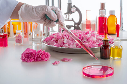 A gloved hand pipetting in a petri dish in up-to-date perfume laboratory. Focus on drop