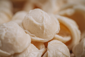 Fototapeta na wymiar hand made apulian orecchiette shaped pasta