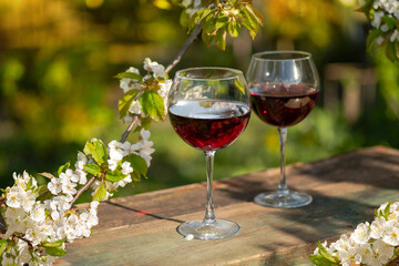 Wine Tasting Party in spring in the garden
