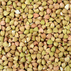 Buckwheat texture high-quality photograph of premium buckwheat groats