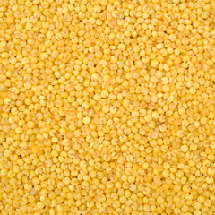 Millet background