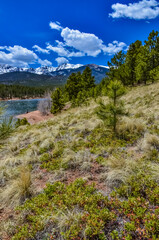 Fototapeta na wymiar Mountain vegetation on the snow-covered slope of the Pikes Peak mountains, Colorado, US