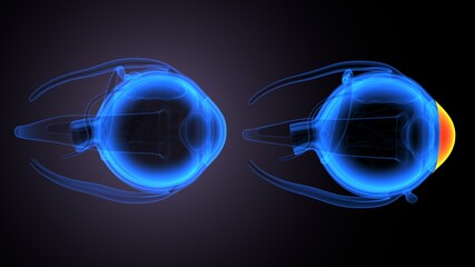 3d render of male human eye anatomy.
