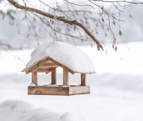 Wooden bird feeder hanging from a tree in the winter.