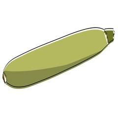 Silhouette of a vegetable. Zucchini. Vector illustration.