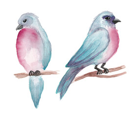 Spring watercolor set of two illustrations, blue birds with pink breasts on branches, illustration made by hand, isolated on white background