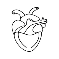 Human Heart Icon