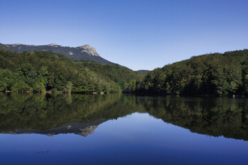 Fototapeta na wymiar Still lake with forest reflections