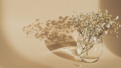Obraz premium gypsophila flowers in glass vase on beige background, light and shadow, banner