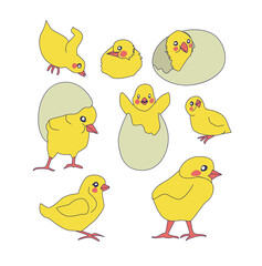 set of cute chickens. little yellow chickens in different poses