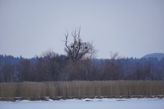 Winterspaziergang um den Seehamer See